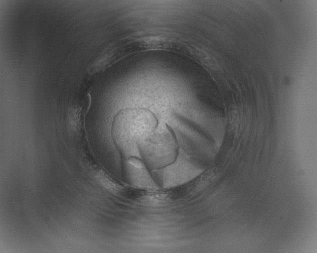 X0000074030278200609061149