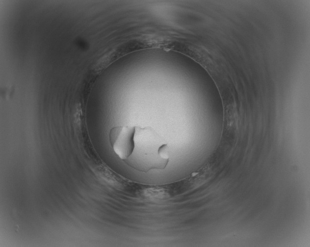 X0000074030279200609061149