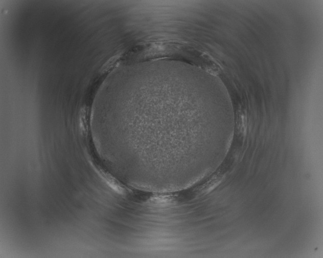 X0000074030280200609061149