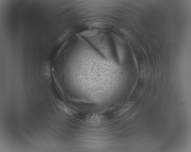 X0000074030282200609061149