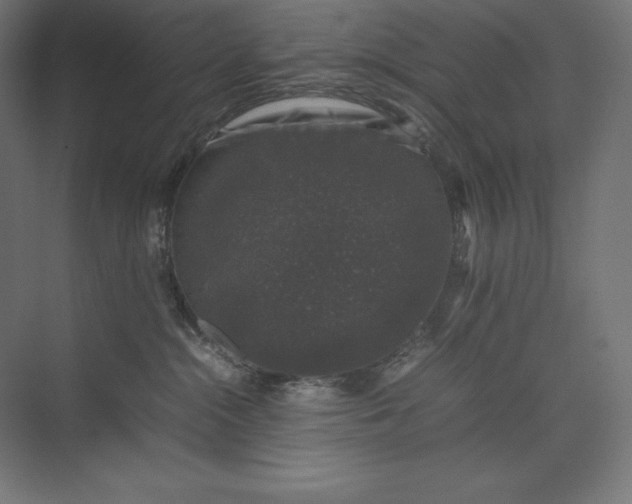 X0000074030284200609061149