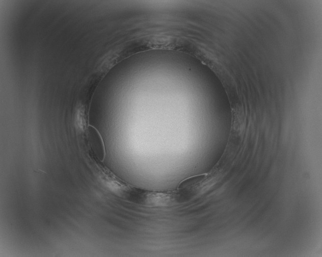 X0000074030287200609061149