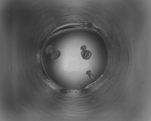 X0000074030288200609061150