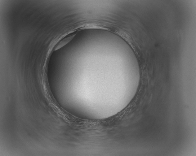 X0000074030289200609061149