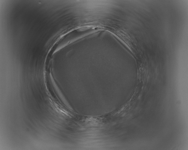 X0000074030290200609061149