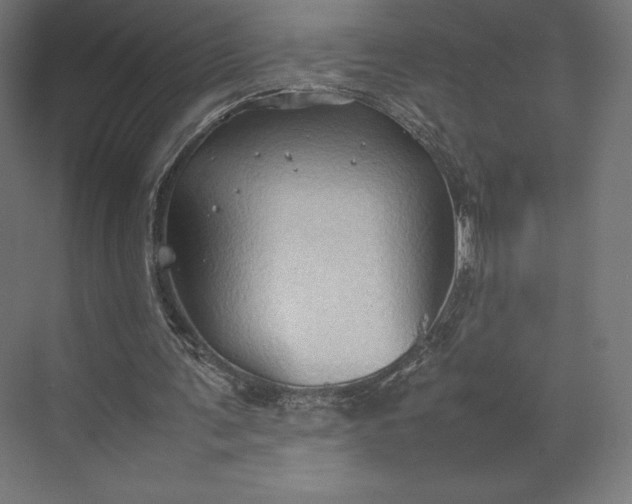 X0000074030291200609061149