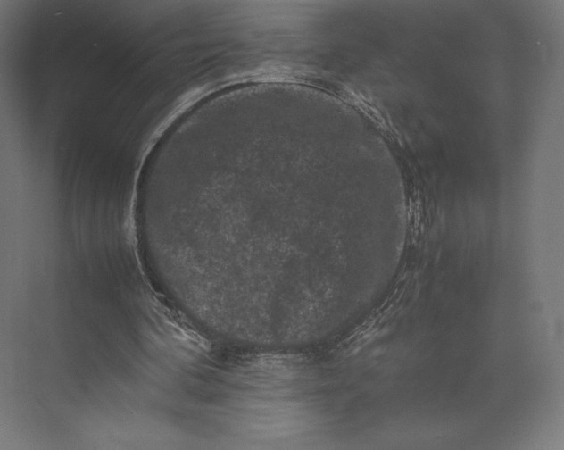 X0000074030292200609061149