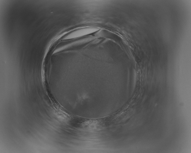 X0000074030294200609061149