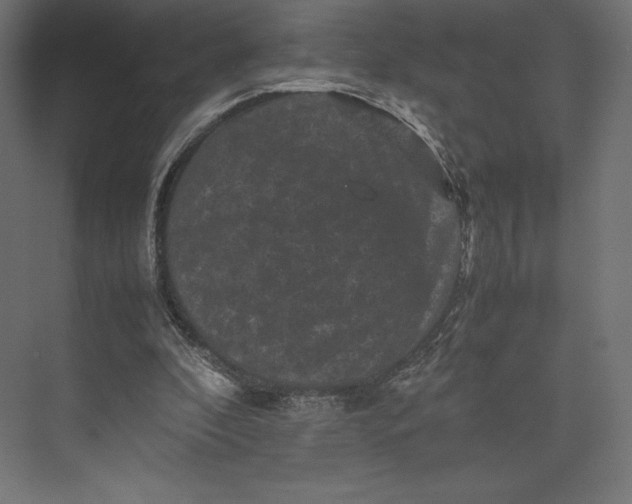 X0000074030296200609061149