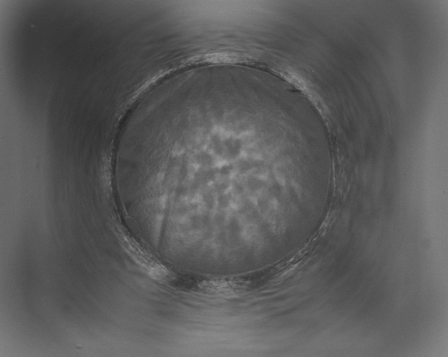 X0000074030297200609061149