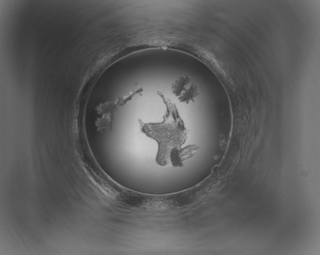 X0000074030299200609061149