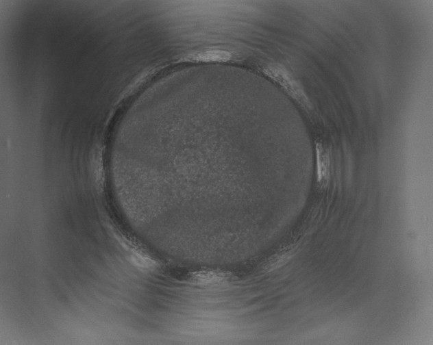 X0000074030300200609061149