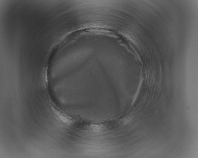 X0000074030302200609061148