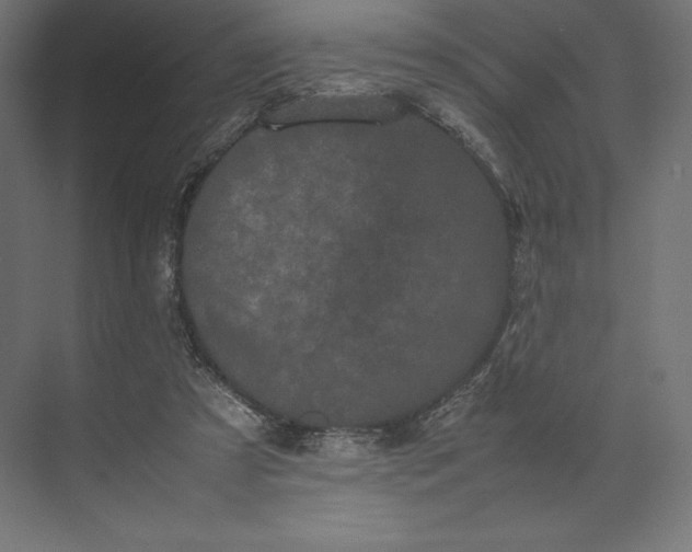 X0000074030305200609061148