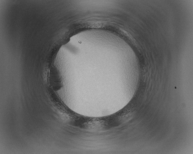 X0000074030307200609061148