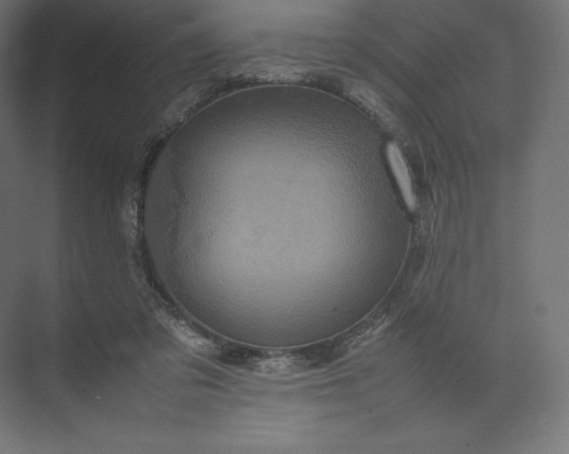 X0000074030309200609061148