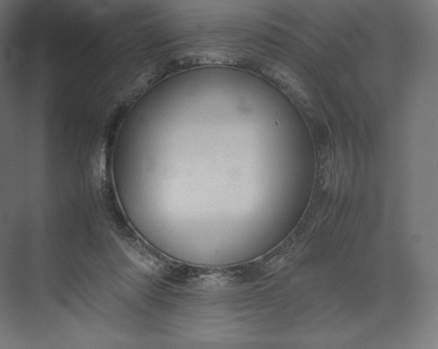 X0000074030310200609061148