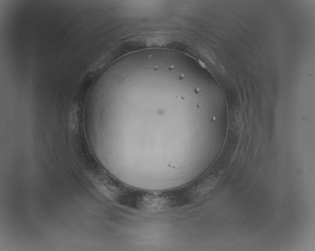 X0000074030311200609061148