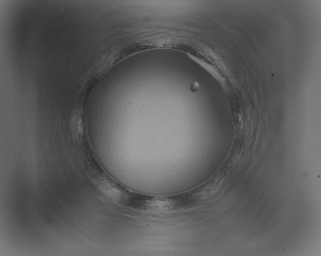 X0000074030313200609061148