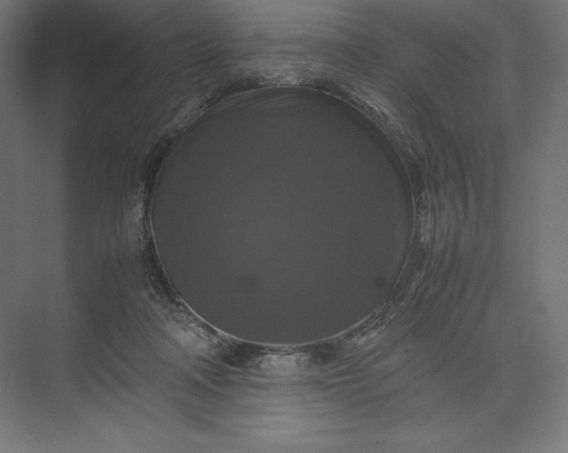 X0000074030314200609061148