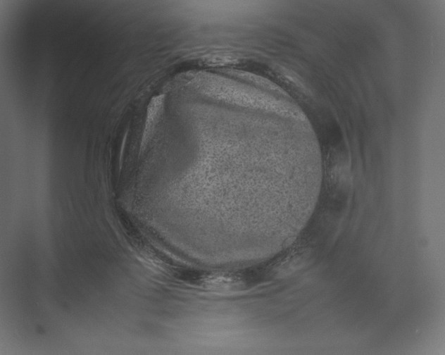 X0000074030315200609061148