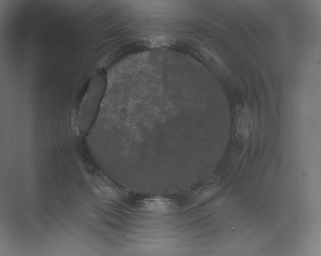 X0000074030316200609061148