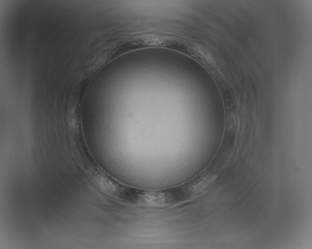 X0000074030317200609061148