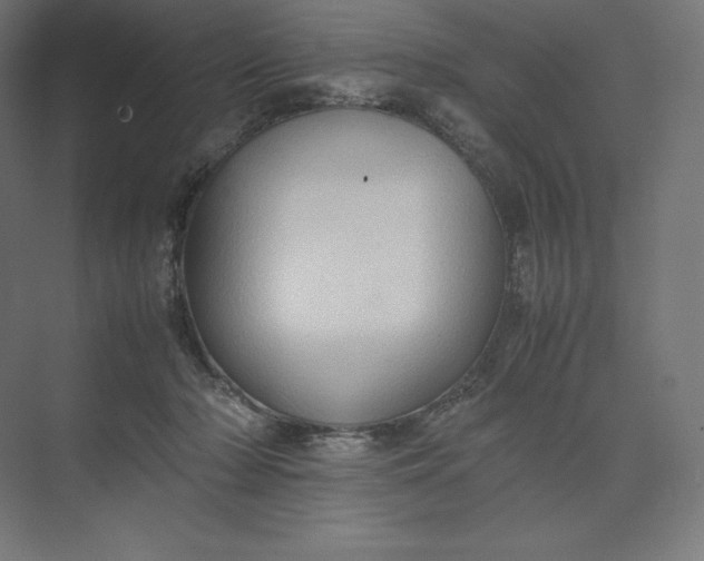 X0000074030318200609061148