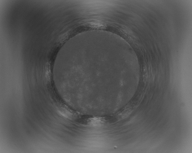 X0000074030320200609061148