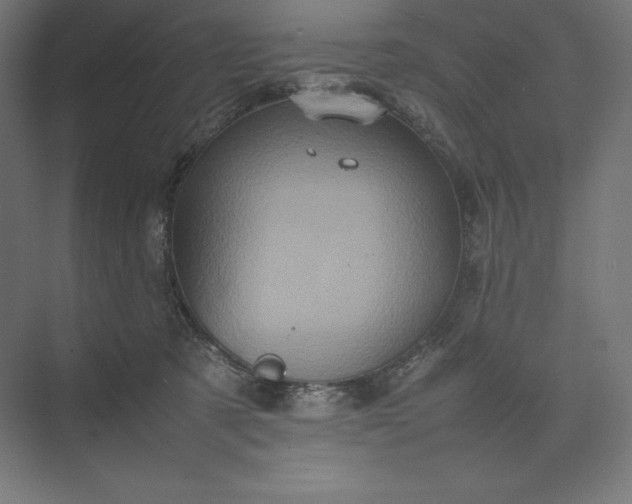 X0000074030321200609061148