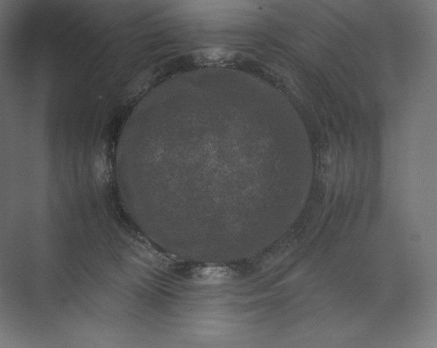 X0000074030324200609061148