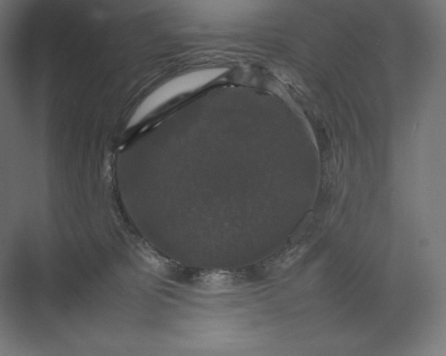 X0000074030325200609061148