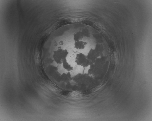 X0000074030327200609061148