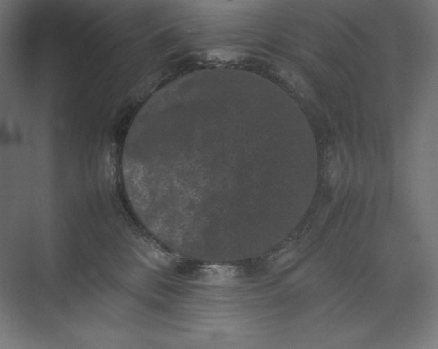 X0000074030328200609061148