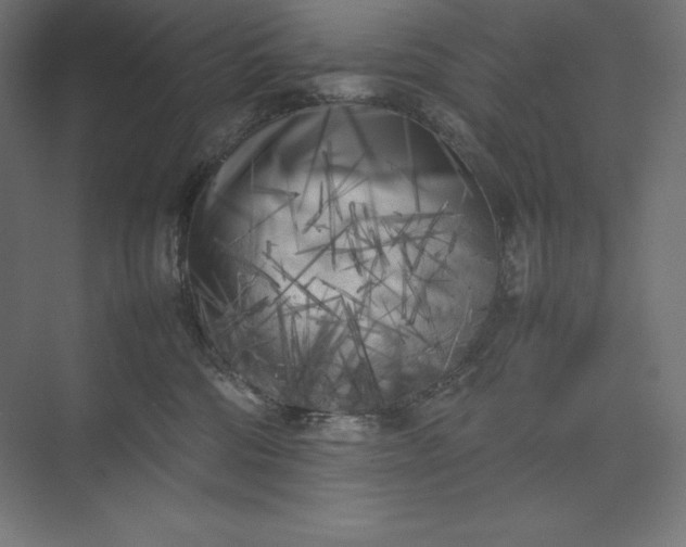 X0000074030330200609061148