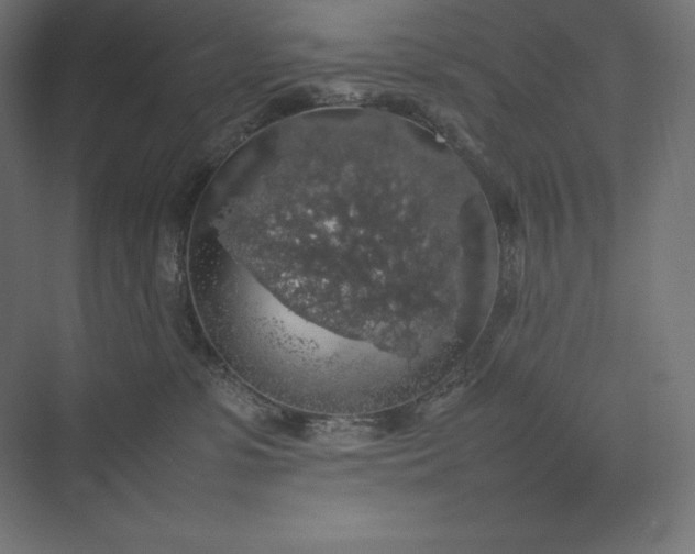 X0000074030331200609061148