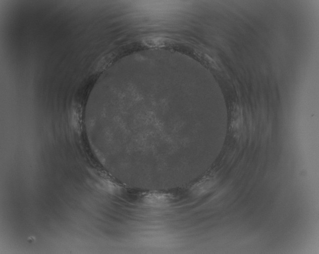 X0000074030332200609061148