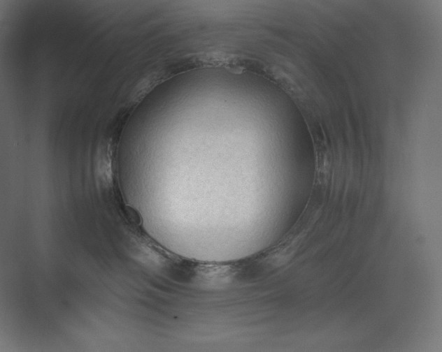 X0000074030334200609061148