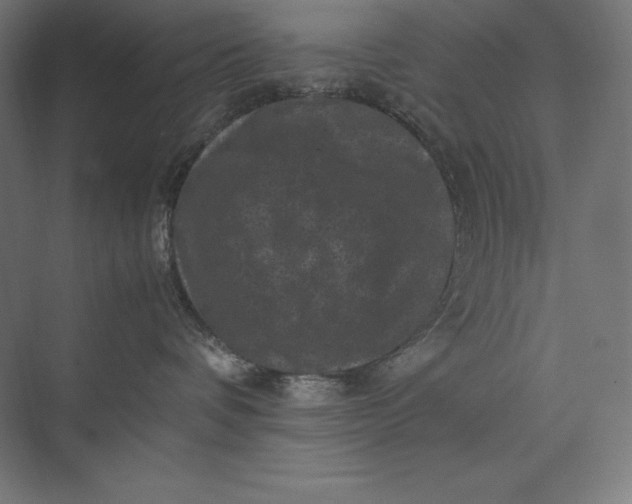 X0000074030336200609061148