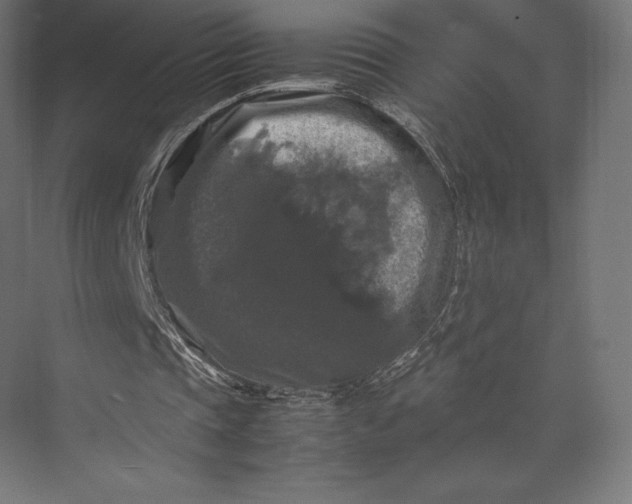 X0000074030337200609061147