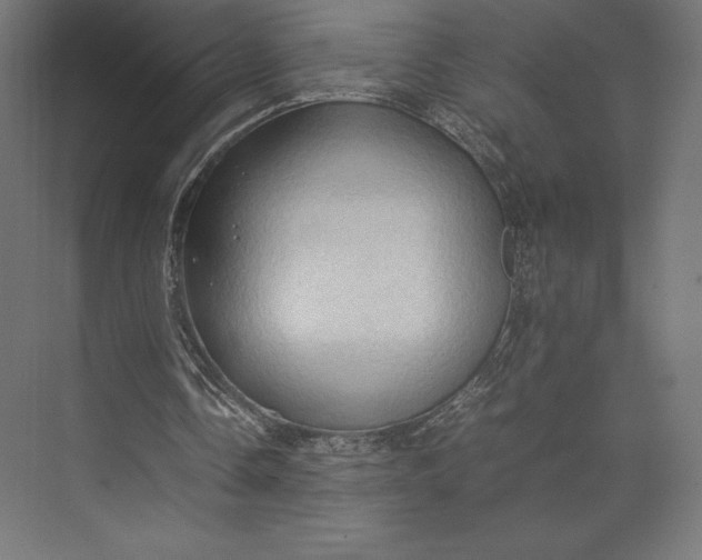 X0000074030338200609061147