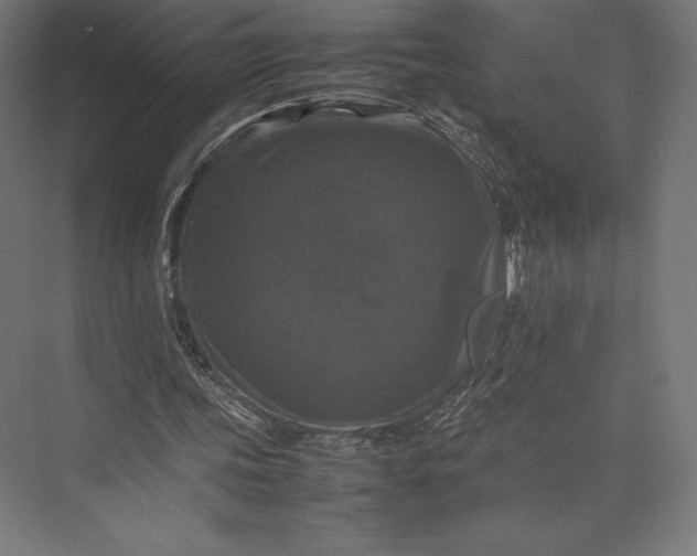 X0000074030339200609061147