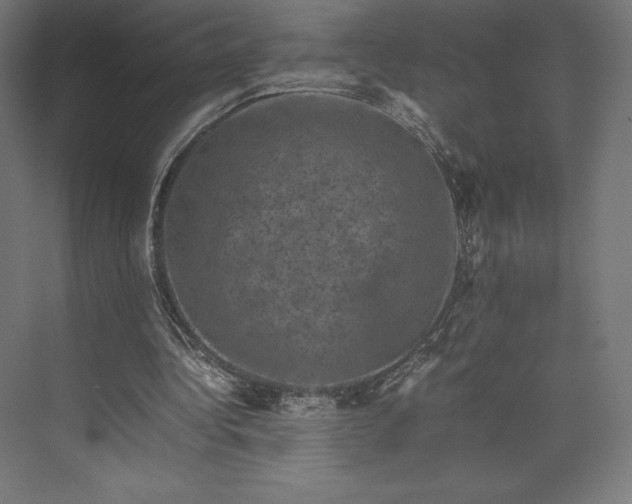 X0000074030340200609061147