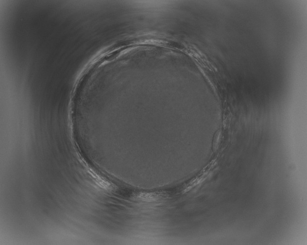 X0000074030341200609061147