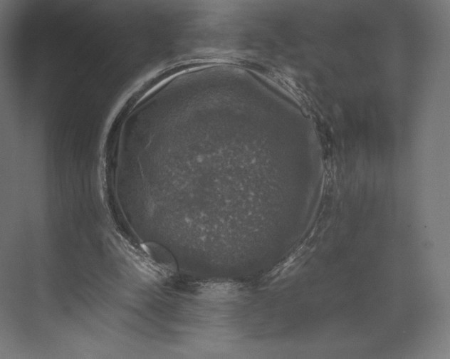 X0000074030342200609061147