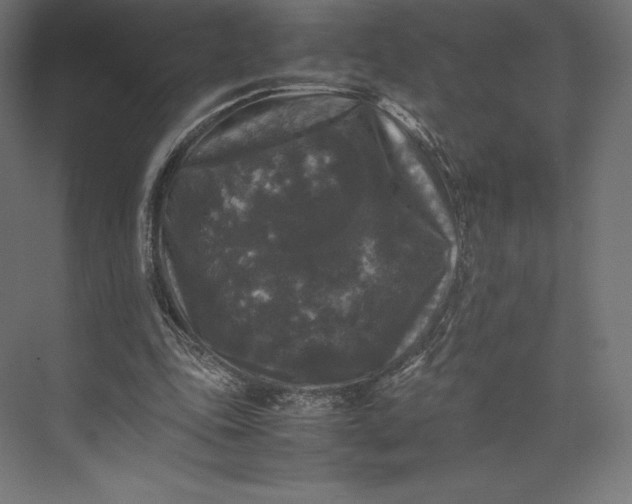 X0000074030343200609061147