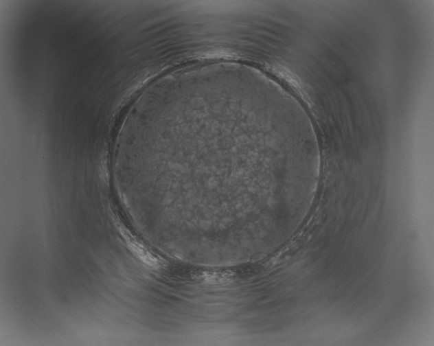 X0000074030345200609061147