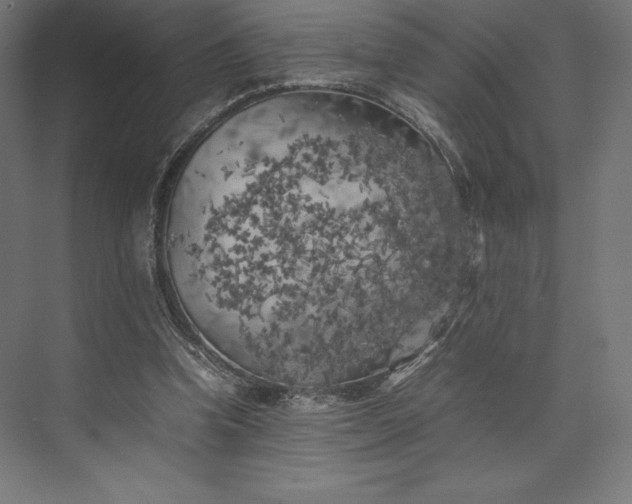 X0000074030346200609061147