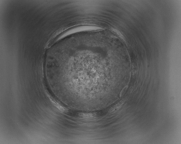 X0000074030349200609061147