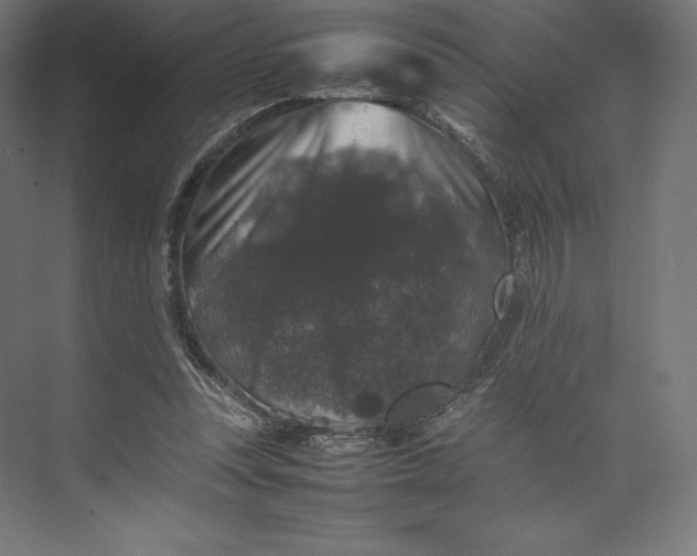 X0000074030351200609061147